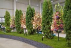 Internationale Gartenbaumesse